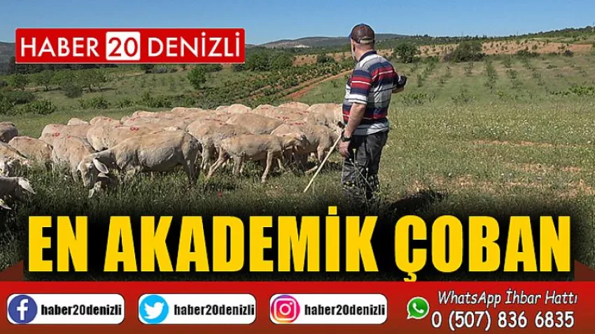 En akademik çoban