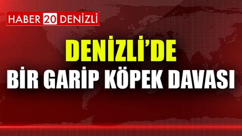Denizli’de bir garip köpek davası