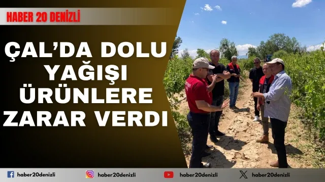 Çal’da dolu yağışı ürünlere zarar verdi