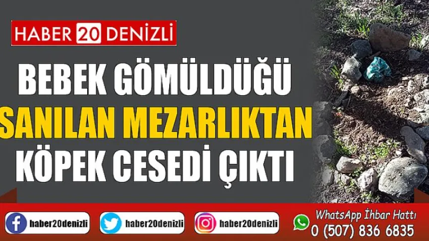 Bebek gömüldüğü sanılan mezarlıktan köpek cesedi çıktı