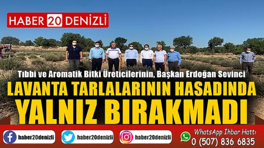 Lavanta Tarlalarının Hasadında Yalnız Bırakmadı