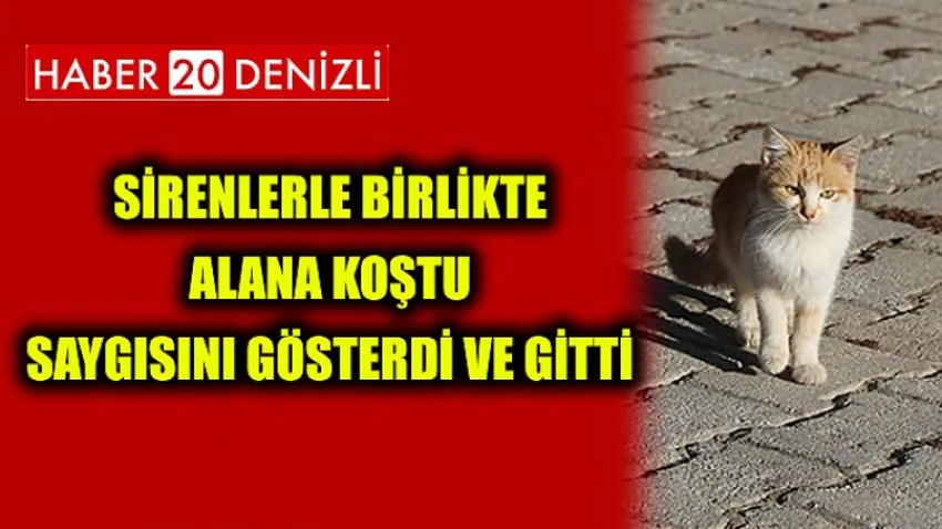 Sirenlerle birlikte alana koştu saygısını gösterdi ve gitti