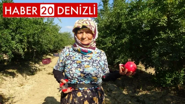 Tarlada çalışan 64 yaşındaki Zehra Teyze, gençlere taş çıkartıyor
