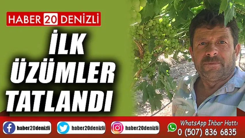 İlk üzümler tatlandı