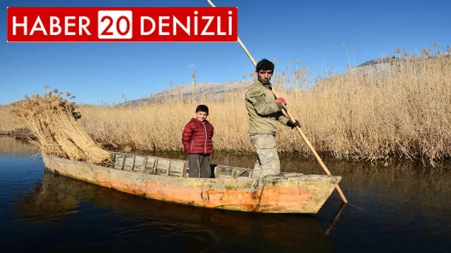 Gökgöl’ün saz otu Avrupa’ya ihraç ediliyor