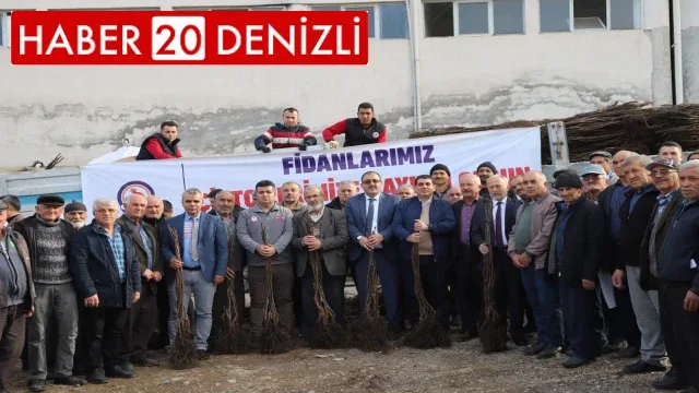 Denizli cevizin marka şehri olacak