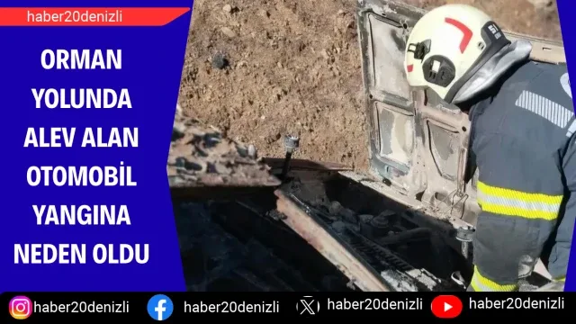 Orman yolunda alev alan otomobil yangına neden oldu