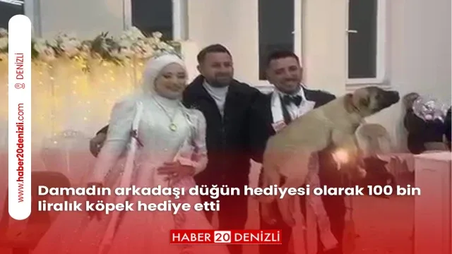Damadın arkadaşı düğün hediyesi olarak 100 bin liralık köpek hediye etti