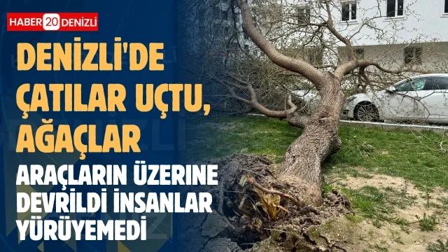 Denizli’de çatılar uçtu, ağaçlar araçların üzerine devrildi, insanlar yürüyemedi