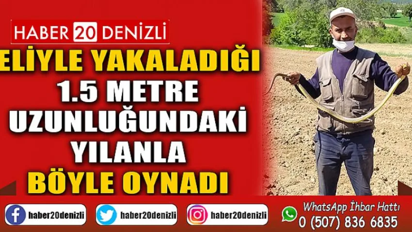 Çiftçi eliyle yakaladığı 1.5 metre uzunluğundaki yılanla böyle oynadı