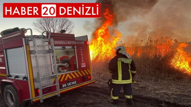 Sazlıklar alev alev yandı