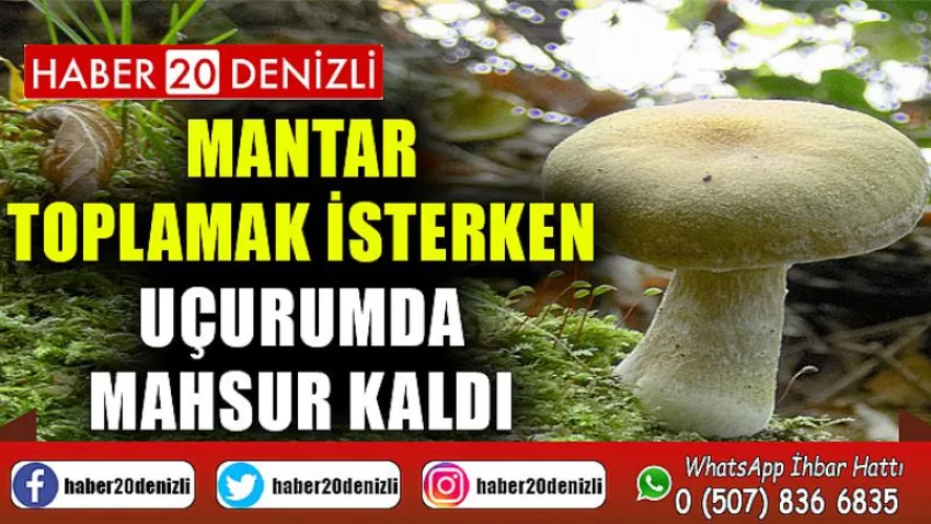 Mantar toplamak isterken uçurumda mahsur kaldı