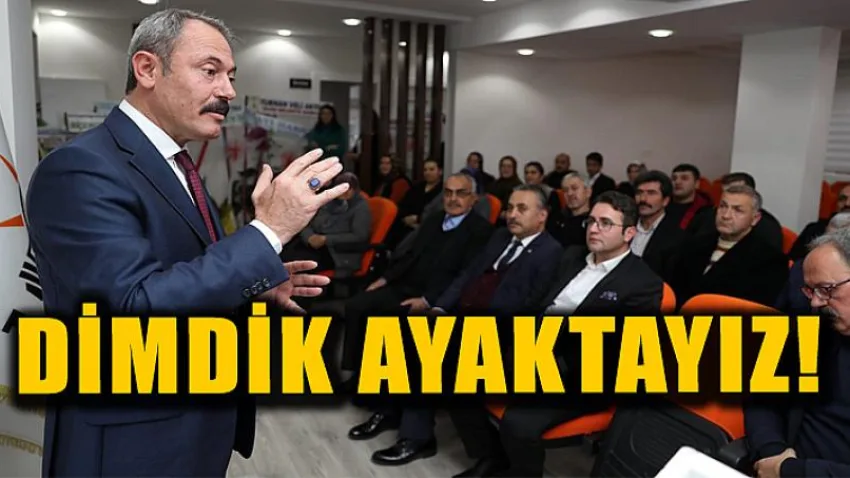 Dimdik Ayaktayız!