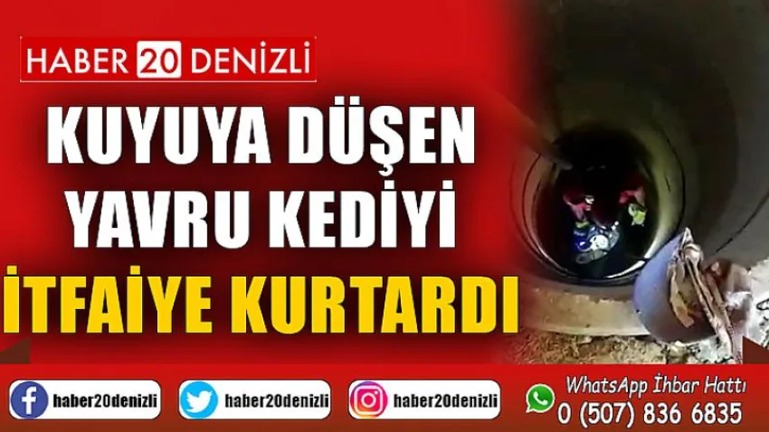 Kuyuya düşen yavru kediyi itfaiye kurtardı