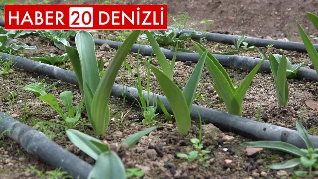 Şifa dolusu salep, kış aylarının vazgeçilmezi oldu