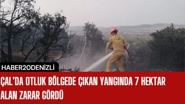 Çal’da otluk bölgede çıkan yangında 7 hektar alan zarar gördü