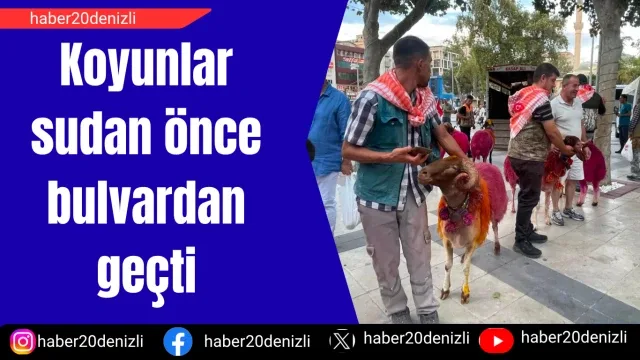 Koyunlar sudan önce bulvardan geçti
