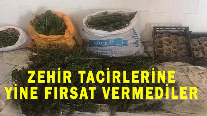 Zehir Tacirlerine Yine Fırsat Vermediler