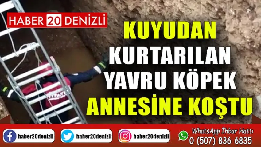 Kuyudan kurtarılan yavru köpek annesine koştu
