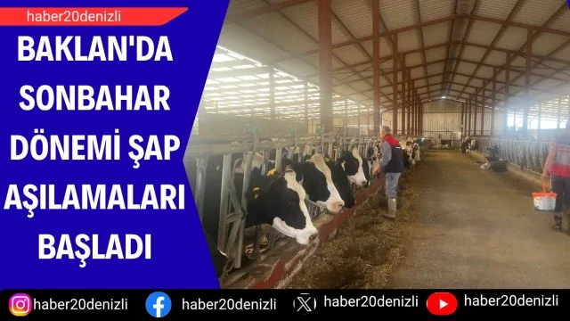 Baklan'da sonbahar dönemi şap aşılamaları başladı
