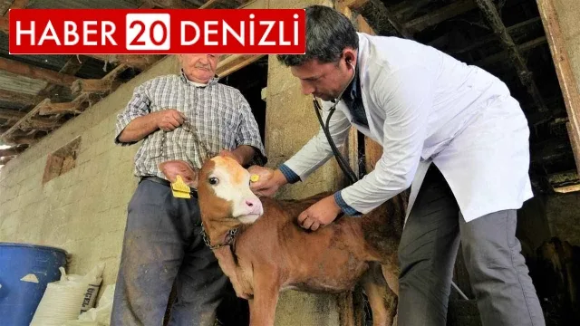 AK Partili Pekdemir, Pamukkale'de kırsal kalkınma hamlesi başlatacak