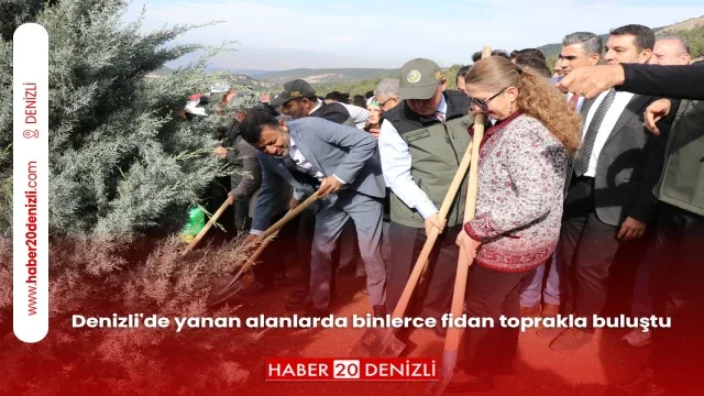 Denizli'de yanan alanlarda binlerce fidan toprakla buluştu
