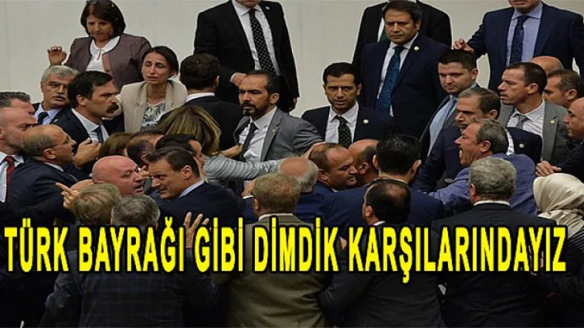Türk Bayrağı Gibi Dimdik Karşılarındayız