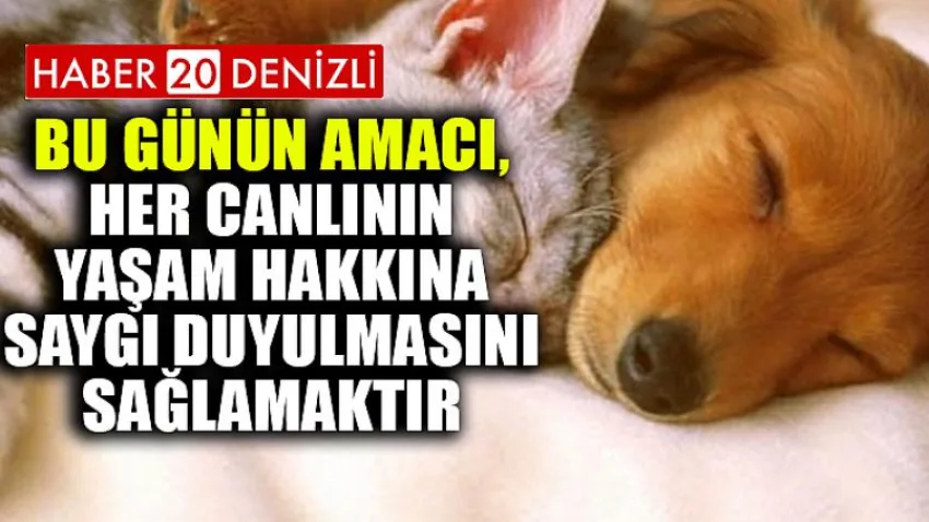 Bu Günün Amacı, Her Canlının Yaşam Hakkına Saygı Duyulmasını Sağlamaktır