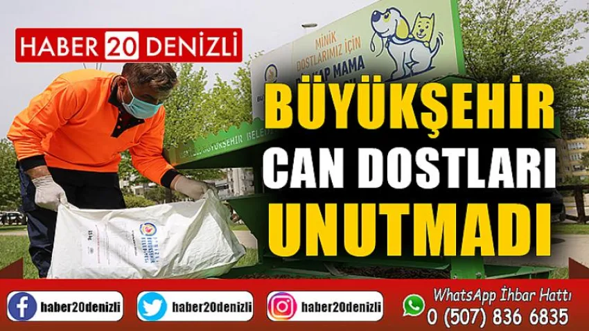 Büyükşehir can dostları unutmadı