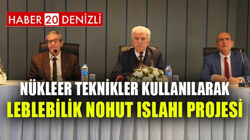 Nükleer Teknikler Kullanılarak Leblebilik Nohut Islahı Projesi