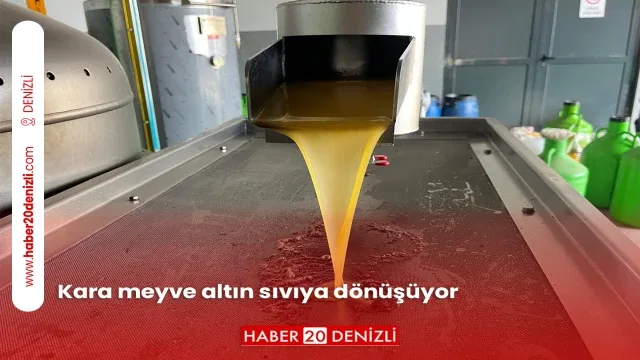 Kara meyve altın sıvıya dönüşüyor