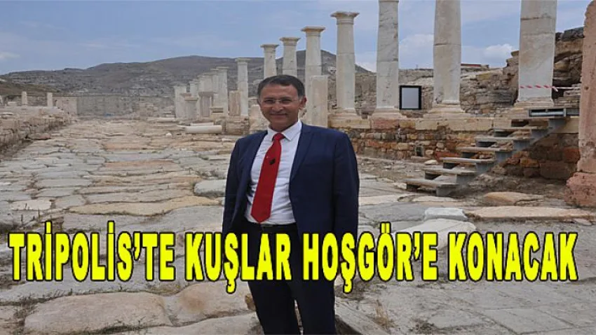 Tripolis’te Kuşlar Hoşgör’e Konacak