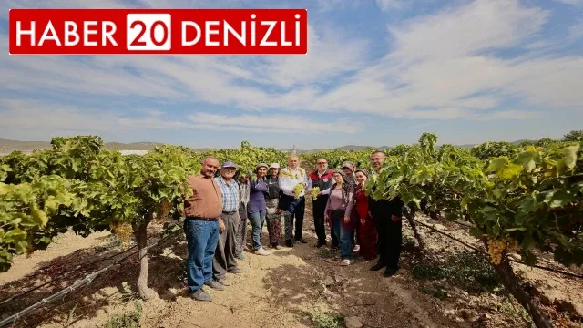 Salkım güvesiyle mücadele tarla gününde anlatıldı