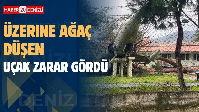 Üzerine ağaç düşen uçak zarar gördü