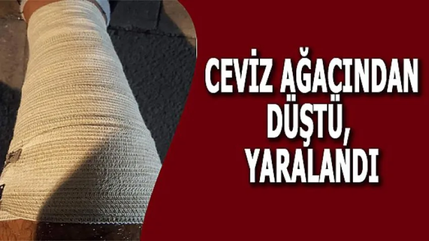 Ceviz Ağacından Düştü, Yaralandı