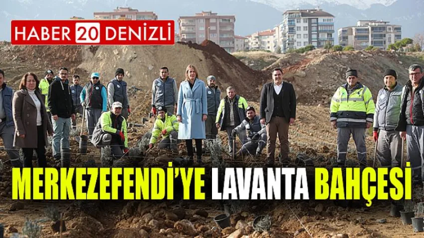 Merkezefendi’ye Lavanta Bahçesi