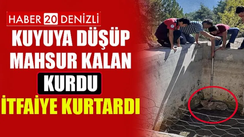 Kuyuya düşüp mahsur kalan kurdu itfaiye kurtardı