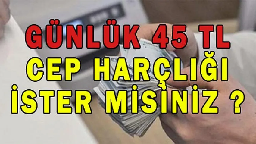 Günlük 45 Tl Cep Harçlığı İster Misiniz ?