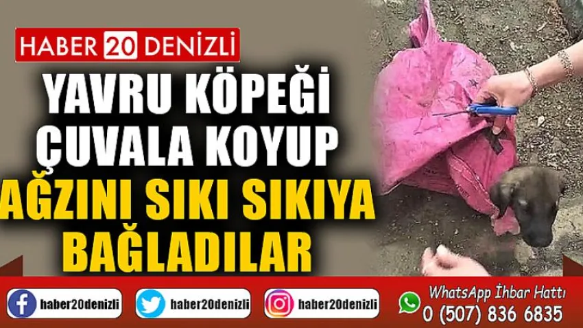 Yavru köpeği çuvala koyup, ağzını sıkı sıkıya bağladılar