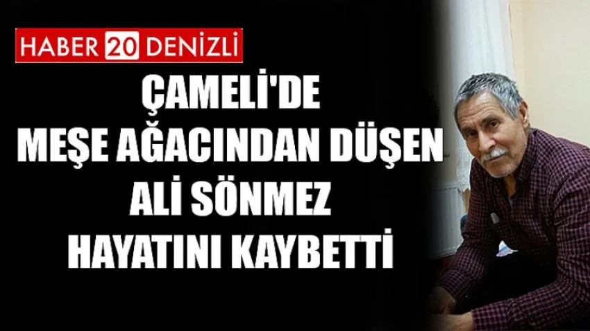 Çameli'de Meşe Ağacından Düşen Ali Sönmez Hayatını Kaybetti