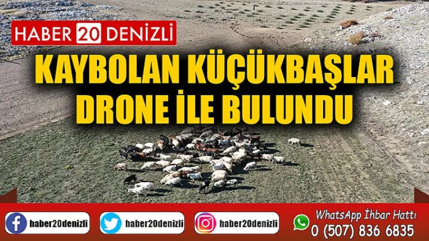 Kaybolan küçükbaşlar drone ile bulundu