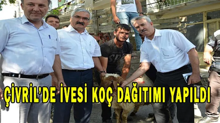 Çivril’de İvesi Koç Dağıtımı