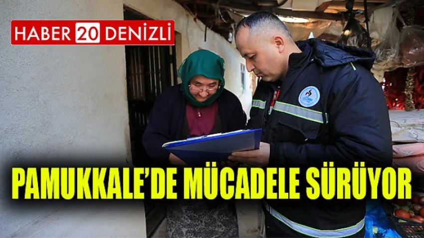 Pamukkale’de Sivrisinekle Mücadele Sürüyor