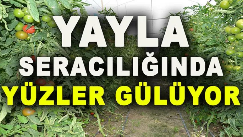 Yayla Seracılığında Yüzler Gülüyor