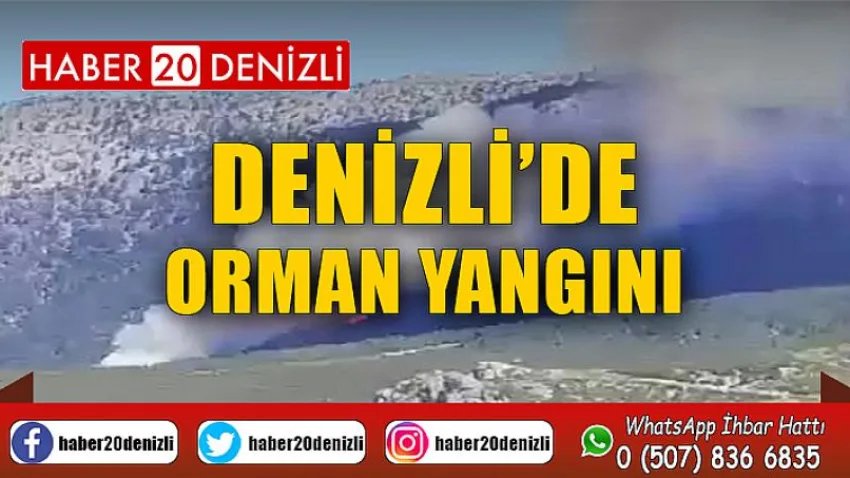 Denizli’de orman yangını