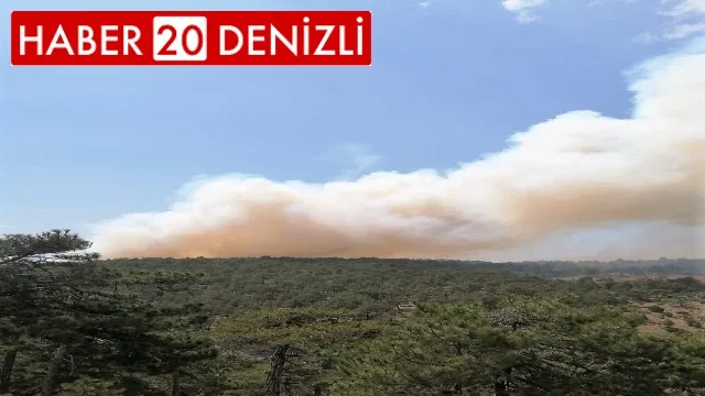 Acıpayam’da orman yangını