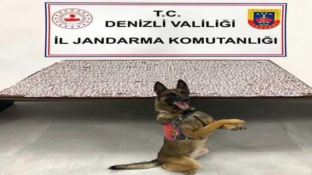 Denizli’de jandarma uyuşturucu tacirlerine geçit vermiyor