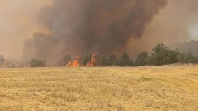 Denizli’de devam eden orman yangınına havadan ve karadan müdahale sürüyor
