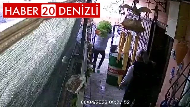 Ev sahibinin gözü önünde girdiği bahçeden saksıyı sırtlayıp götürdü