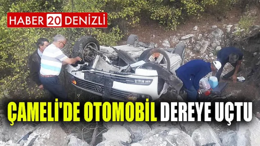 Çameli'de Otomobil Dereye Uçtu